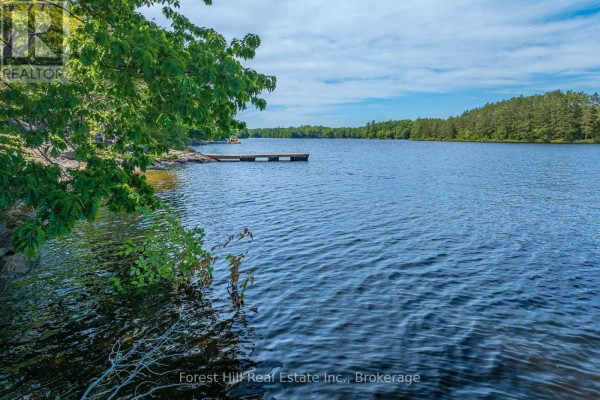 18 Hawkins Point Road, Georgian Bay, ON P0C1A0 Photo 4