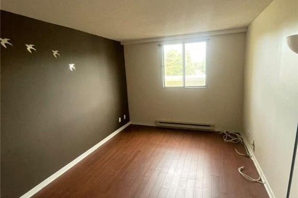 Room with dark wood flooring, one brown accent wall with bird decals, and a window. - 18 Holborn Court Unit# 212, Kitchener