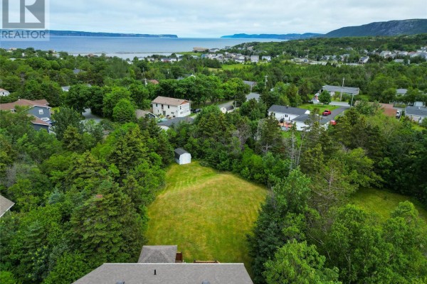 18 Mercers Road, Conception Bay South, NL, photo 3