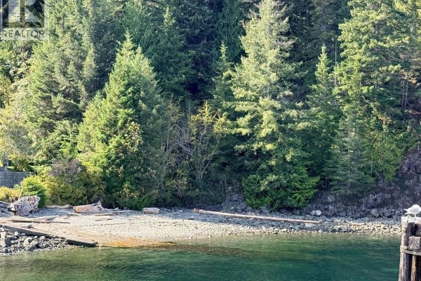 18 Sayward Rd, Sayward, BC V0P1R0 Photo 4