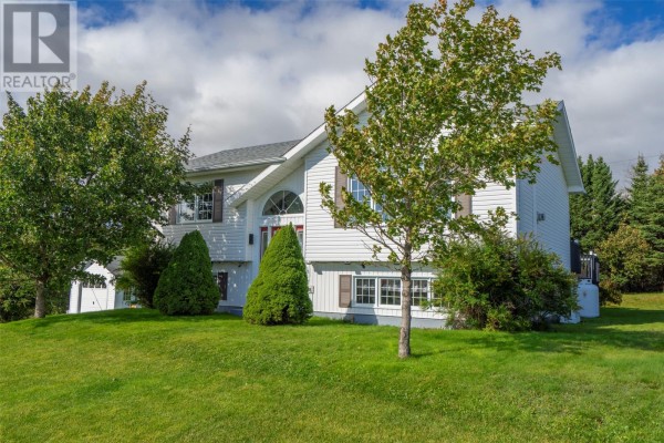18 Shaheen Crescent, Come By Chance, NL, photo 2