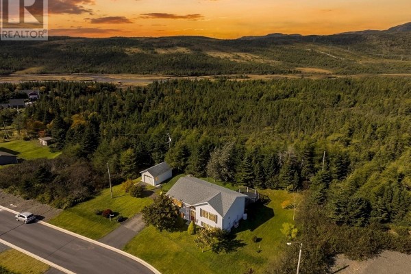18 Shaheen Crescent, Come By Chance, NL, photo 3