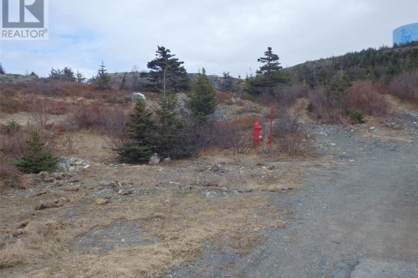 18 Stagg's Lane, Bonavista, NL, photo 3
