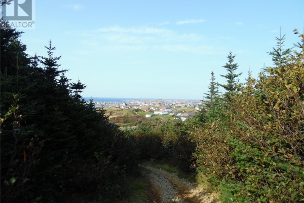 18 Stagg's Lane, Bonavista, NL A0C1B0 Photo 4
