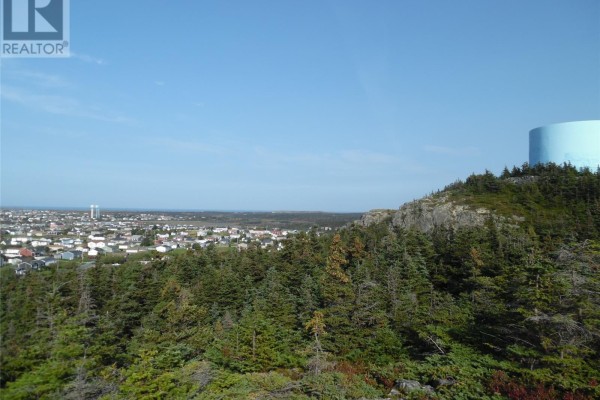 18 Stagg's Lane, Bonavista, NL A0C1B0 Photo 5