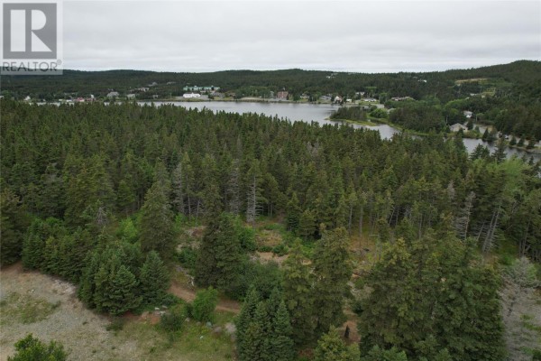 18 Wilsonville Avenue, Clarke’s Beach, NL, photo 3