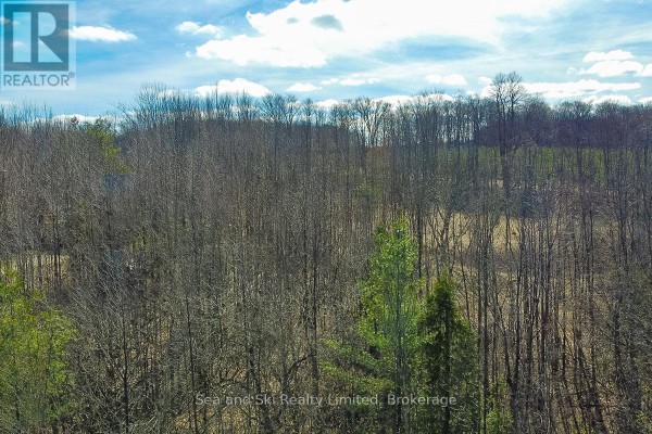 180 Bowles Bluff Road, Grey Highlands, ON N0C1H0 Photo 4
