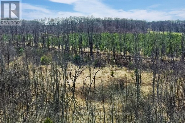 180 Bowles Bluff Road, Grey Highlands, ON N0C1H0 Photo 5