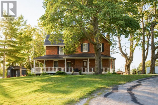 Family room - 180 Courtland Street, Ramara, ON L3V6H7 Photo 4