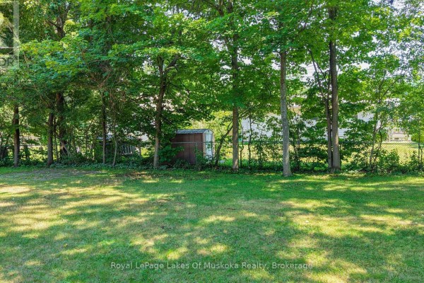 Green lawn with trees, a shed, and a fence in the background. - 180 Lofty Pines Crescent, Gravenhurst)