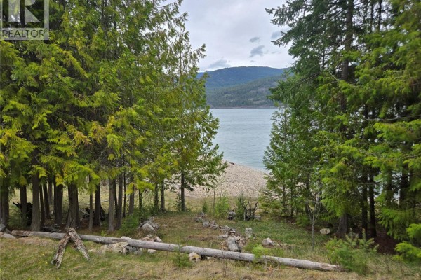 180 Lower Arrow Lake, Castlegar, BC V1N4V8 Photo 5