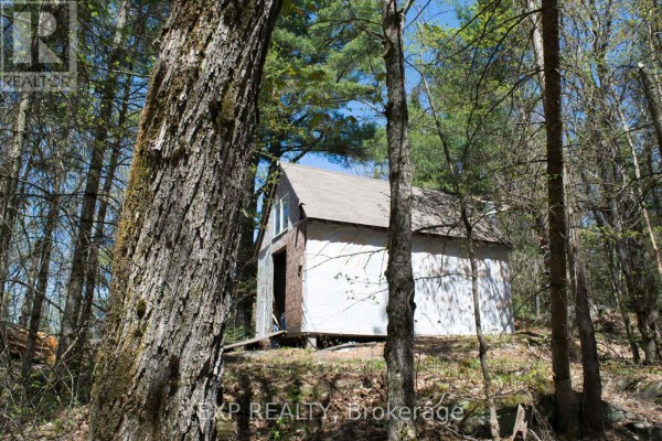 1800 Bear Cave Road, Muskoka Lakes, ON, photo 2