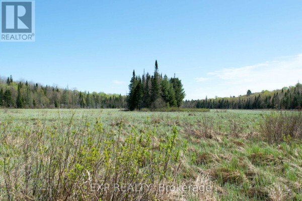 1800 Bear Cave Road, Muskoka Lakes, ON P0C1J0 Photo 4