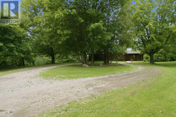 Living room - 18050 Nesbitt Line, Scugog, ON L0B1L0 Photo 3