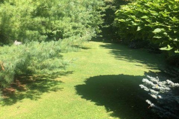 Lush green backyard with mature trees and a stone pathway - 1806 Parkhurst Avenue London East