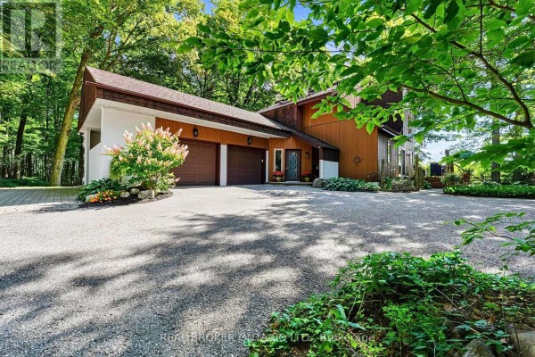 Kitchen - 18061 Highway 48, East Gwillimbury, ON L0G1E0 Photo 2