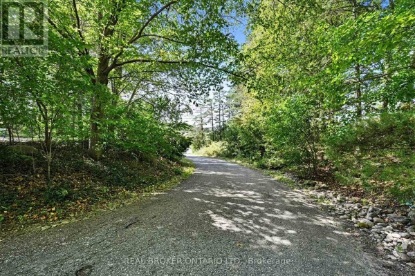 Eating area - 18061 Highway 48, East Gwillimbury, ON L0G1E0 Photo 3