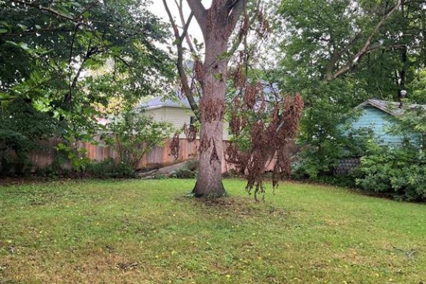 181-183 Wellington  St. E Street, Chatham, ON N7M3P2 Photo 4