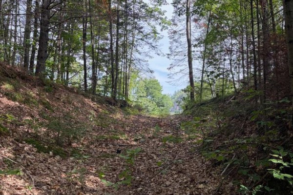 181 Chemaushgon Road, Bancroft, ON K0L1C0 Photo 4
