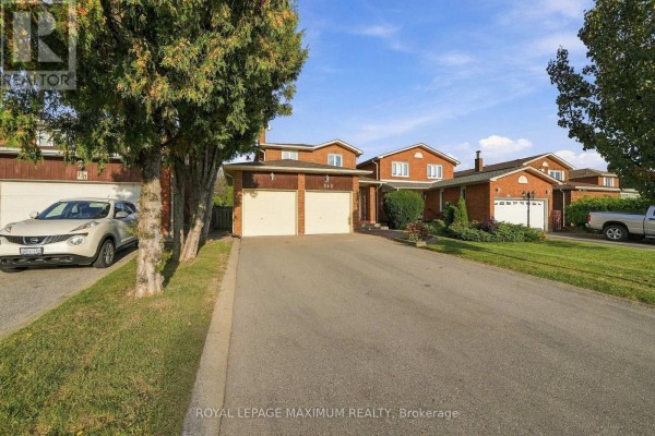 Cold room - 182 Nestor Crescent, Vaughan, ON L4L5A1 Photo 4