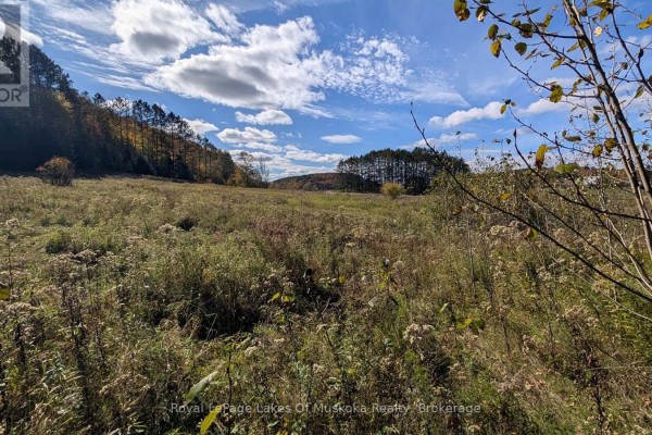 1827 Highway 141 Highway, Muskoka Lakes, ON P0B1M0 Photo 3