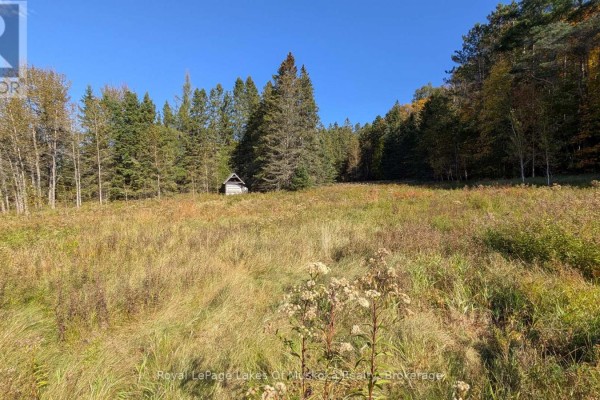 1827 Highway 141 Highway, Muskoka Lakes, ON P0B1M0 Photo 4
