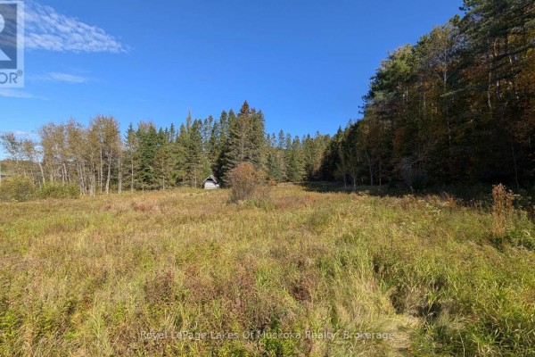 1827 Highway 141 Highway, Muskoka Lakes, ON P0B1M0 Photo 5