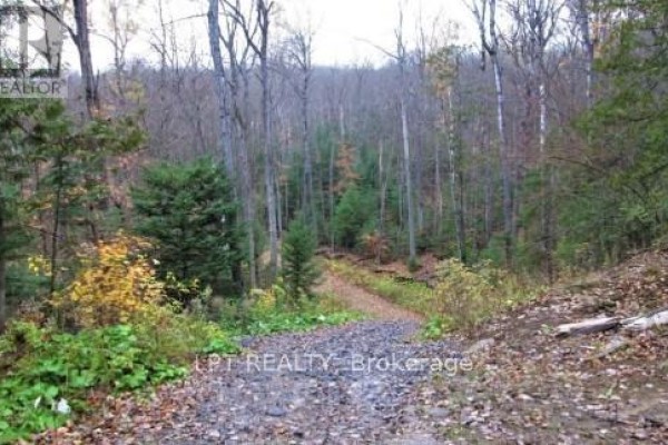1827 Hybla Road, Hastings Highlands, ON, photo 3
