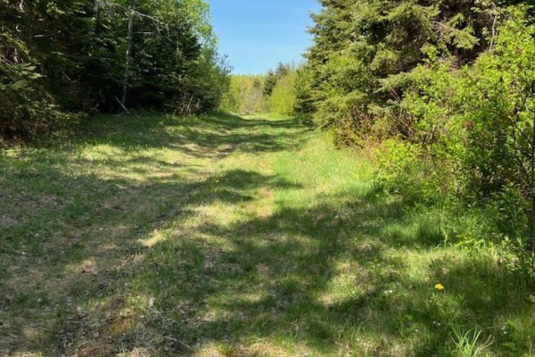 1828 Route 320 - Brothers Road, Peakes, PE C0A1A0 Photo 3