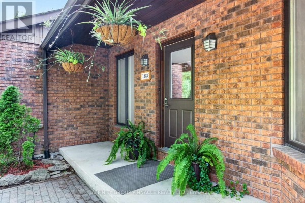 Bathroom - 183 Louisa Street, Kawartha Lakes, ON K0M1N0 Photo 4