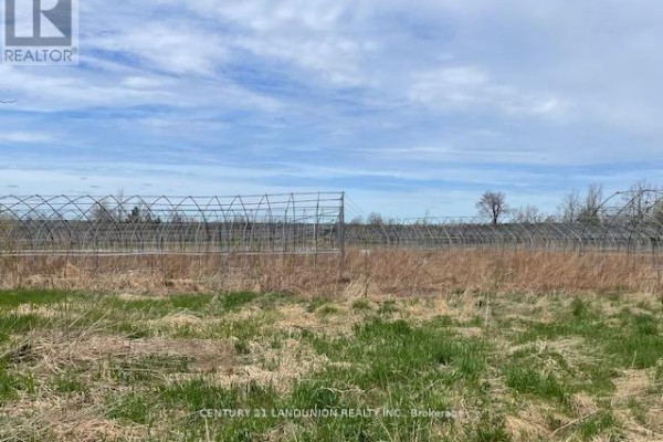 1834 10th Line W, Trent Hills, ON, photo 3