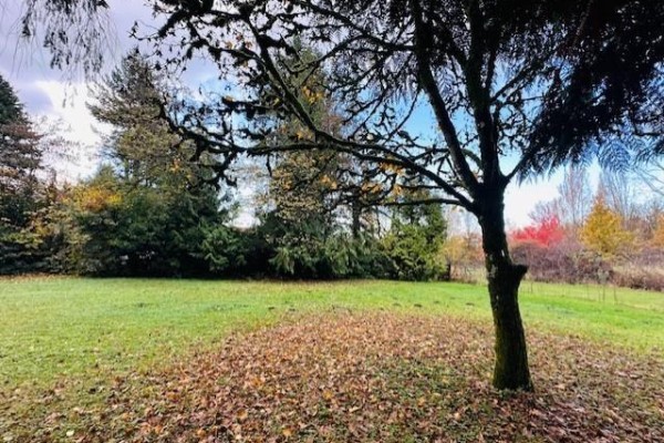 18351 74 Avenue, Surrey, BC V4N6C1 Photo 5