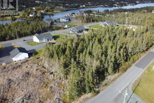 184-186 Glam Road, Clarkes Beach, NL A0A1W0 Photo 4