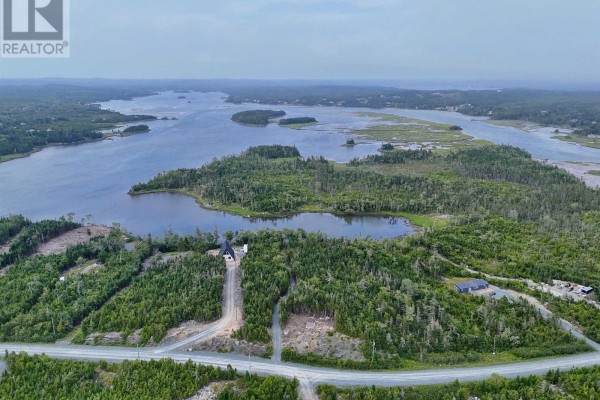 Aerial view showcasing the surrounding water and forested land with a road. - 184 Westside Inlet Drive, West Petpeswick