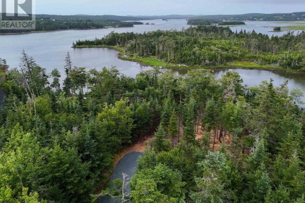 Aerial view of lush greenery and waterways, highlighting natural landscape features. - 184 Westside Inlet Drive, West Petpeswick