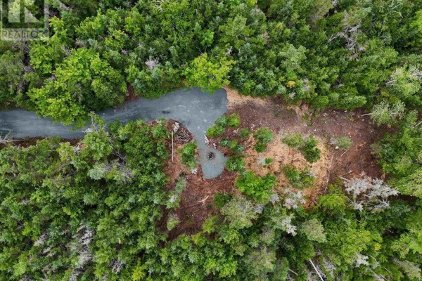 Top-down view of the lot with a gravel road and dense foliage surrounding it. - 184 Westside Inlet Drive, West Petpeswick