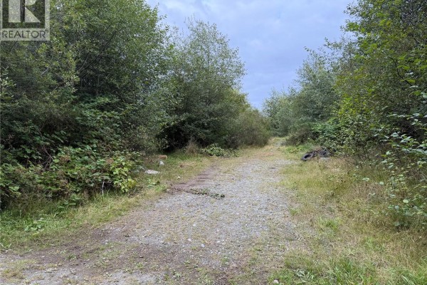 1841 Mine Rd, Port Mcneill, BC V0N2R0 Photo 5