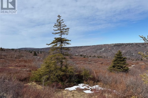 185-189 Bryants Cove Road, Upper Island Cove, NL A0A4E0 Photo 5