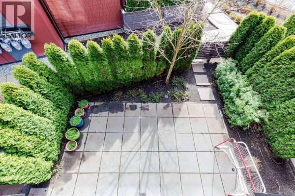 Overhead view of a paved backyard patio with tall evergreen hedges and potted plants. - 185 4738 Hemlock Way, Tsawwassen