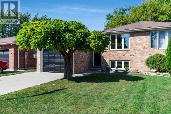 Front view of a brick house with a large tree and black garage door. - 185 Marlborough Street East, Leamington