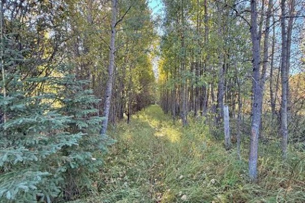 18509 Twp Rd 521a, Rural Yellowhead County, AB T0E1X0 Photo 3