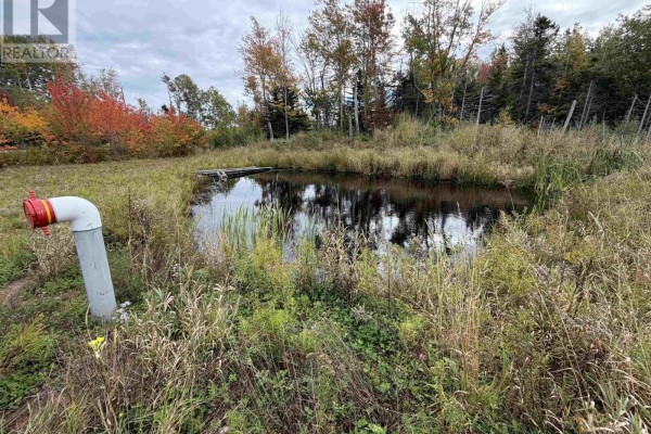 Small pond with surrounding reeds and a white pipe with red cap. - 1852 River John Road, River John