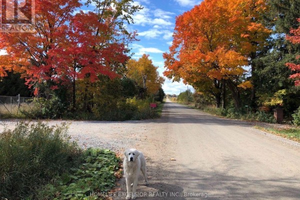 1854 Side Road 5 Road, Ramara, ON L0K1B0 Photo 4
