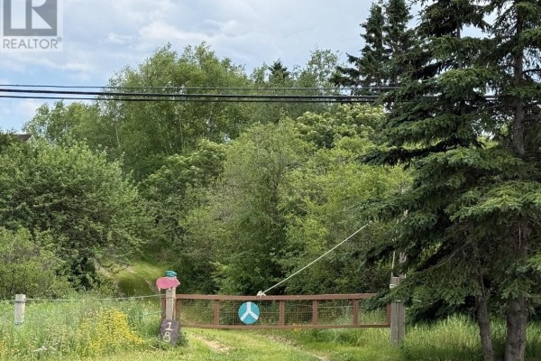 186 Goose Bay Drive, Musgravetown, NL A0C0C7 Photo 5