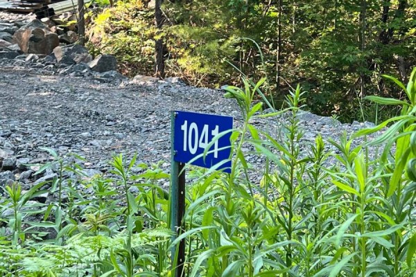 1874 Highway 11 N, Gravenhurst, ON P0E1G0 Photo 2