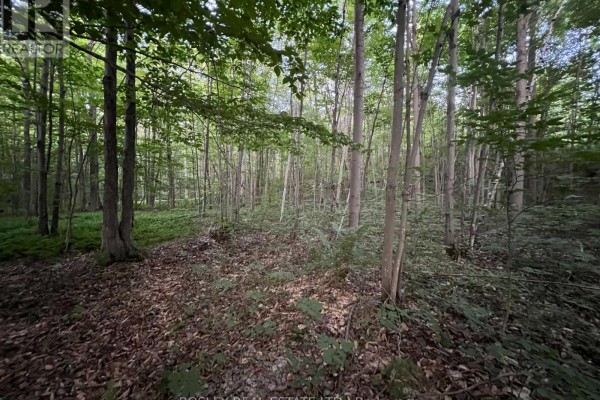 1874 Highway 11 N, Gravenhurst, ON P0E1G0 Photo 3
