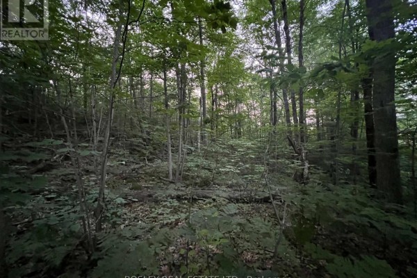1874 Highway 11 N, Gravenhurst, ON P0E1G0 Photo 4