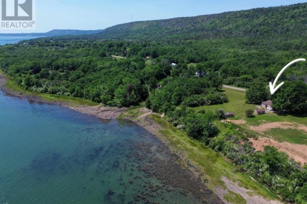 Aerial view of the bungalow and surrounding trees with the ocean and coastline in the background. - 1878 Granville Road, Port Wade