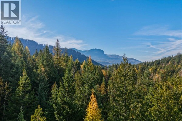 Full bathroom - 1880 Highway 6, Lumby, BC V0E2G1 Photo 2