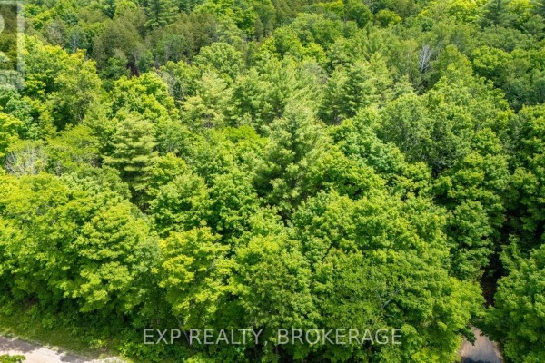 1881 Elm Tree Road, Frontenac, ON, photo 3